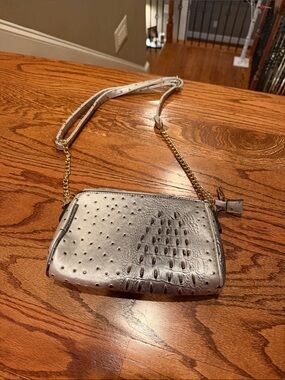 Women's Silver Faux Ostrich Crossbody Bag with Chain Strap